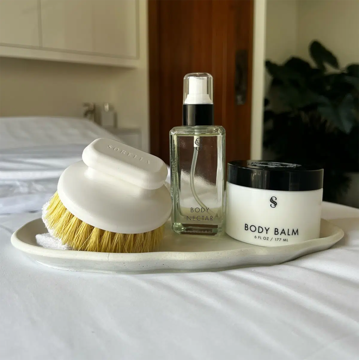 Body Dry Brush